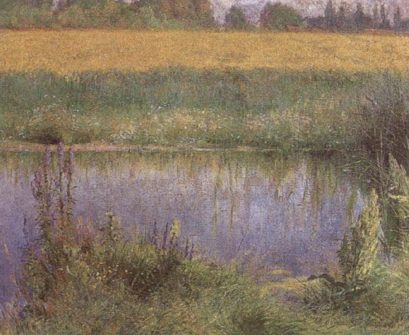 Wladyslaw Podkowinski Field of Lupins Germany oil painting art